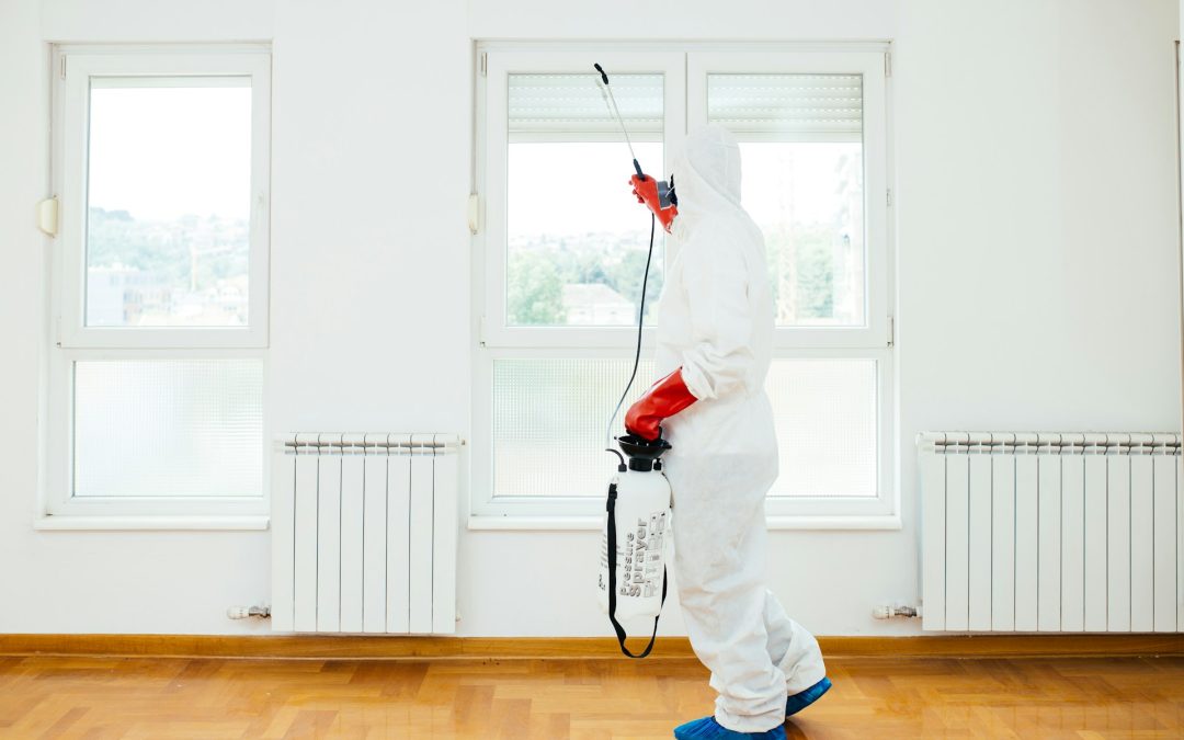 Eco-Friendly Pest Control Solutions for Your Home and Business