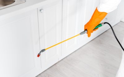 Smart Pest Management: Embracing Technology in Termite Detection and Control